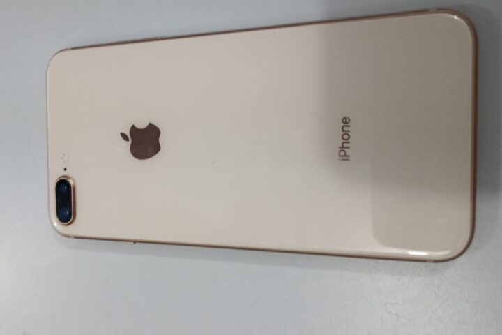 Foto 1 (1)