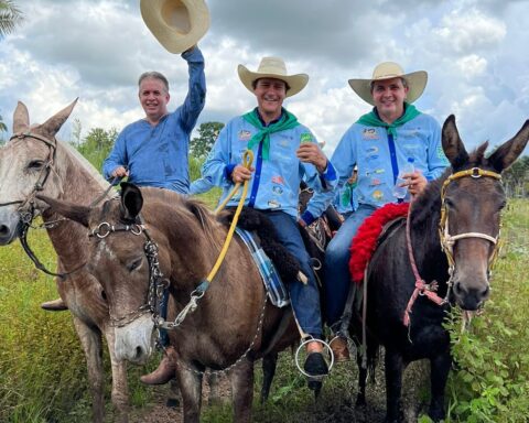 3b622f8e b618 48dc b7f6 a0578c81d400