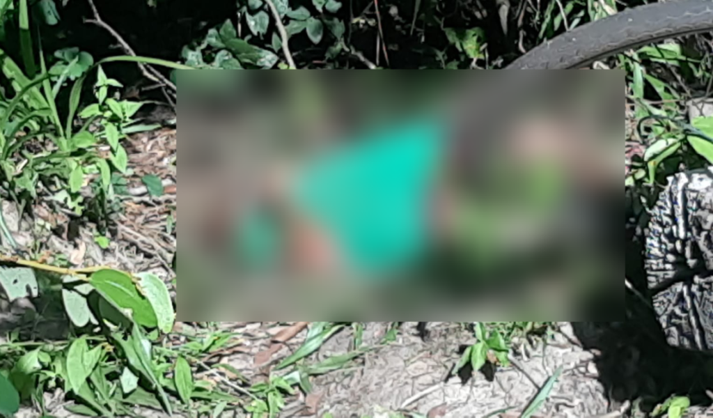 Cover homem e encontrado morto entre ananas e angico 1140x668 f2d32577