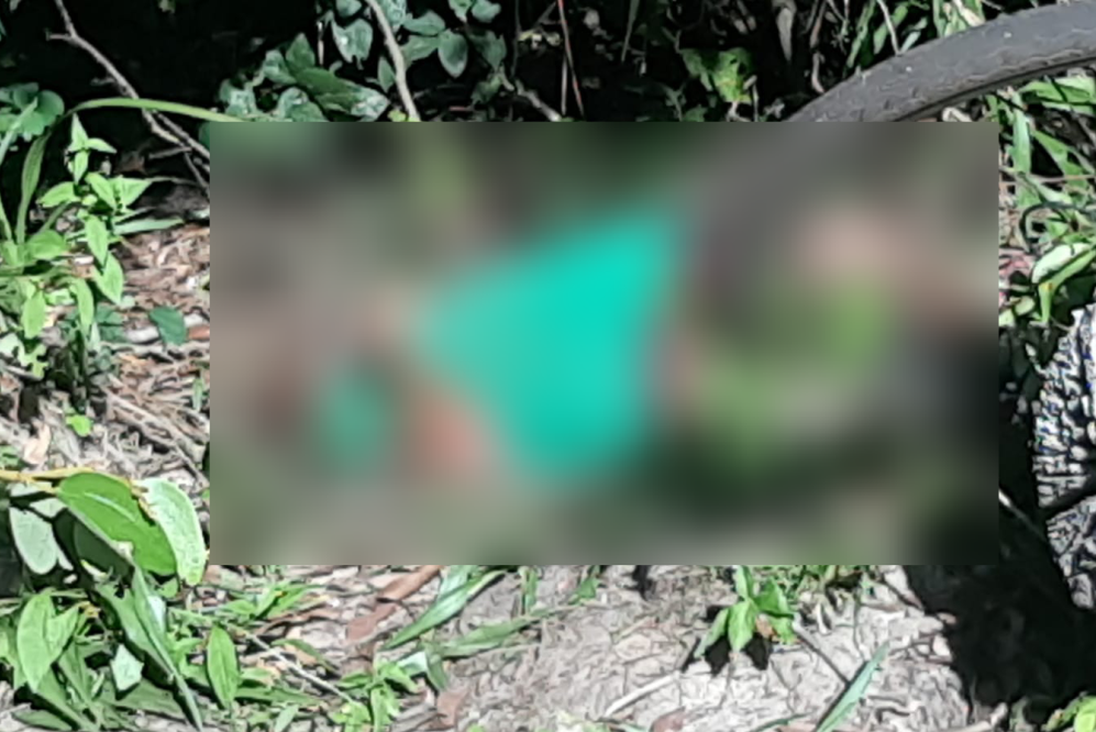 Cover homem e encontrado morto entre ananas e angico 1140x668 f2d32577
