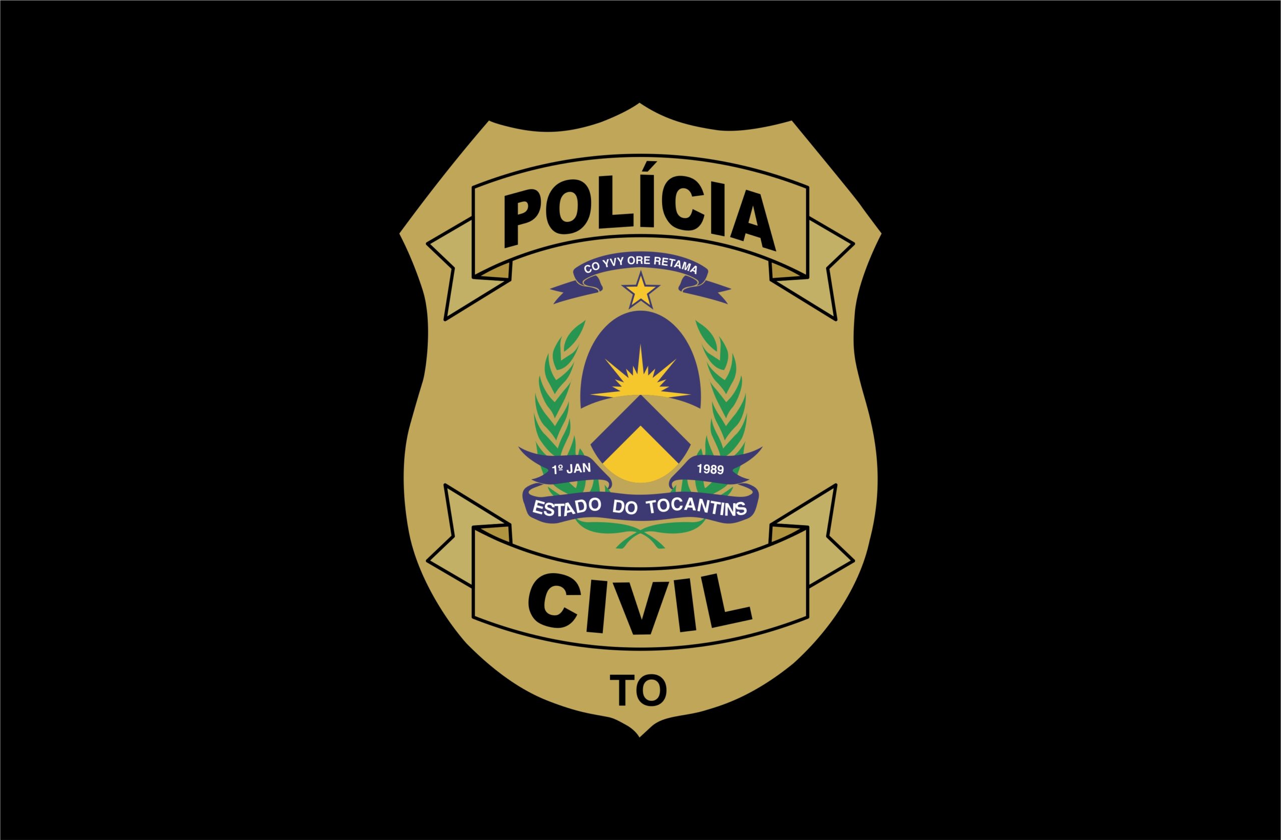 BrasÃo pc para matÉrias