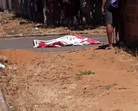 Whatsapp image 2023 08 02 at 14.18.51