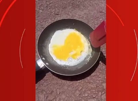 A1f0547d 68c2 4273 83e3 ac1c0cccee8b