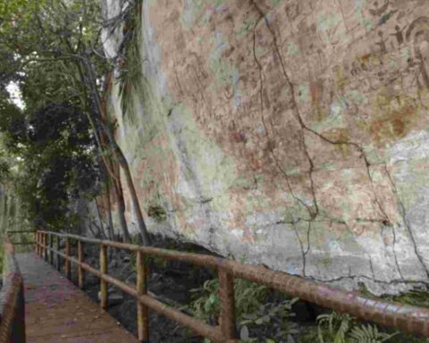 D8f9fe20b44796f83578b52f5dde5f71