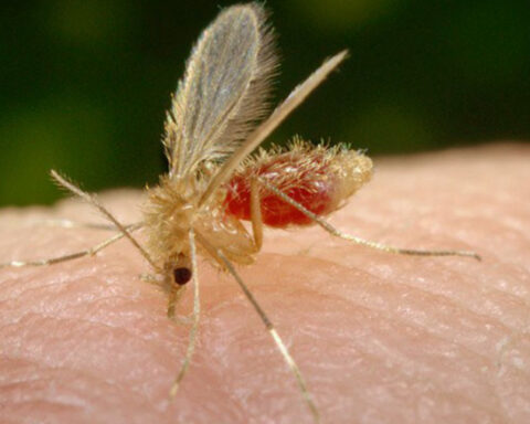 2c609149 9b60 45a3 8797 5cfc48e1c966