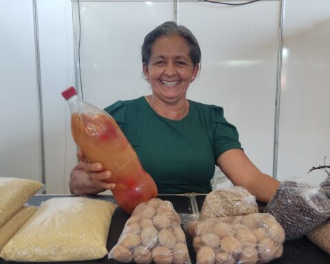 Valorização da mulher rural feira da macaúba