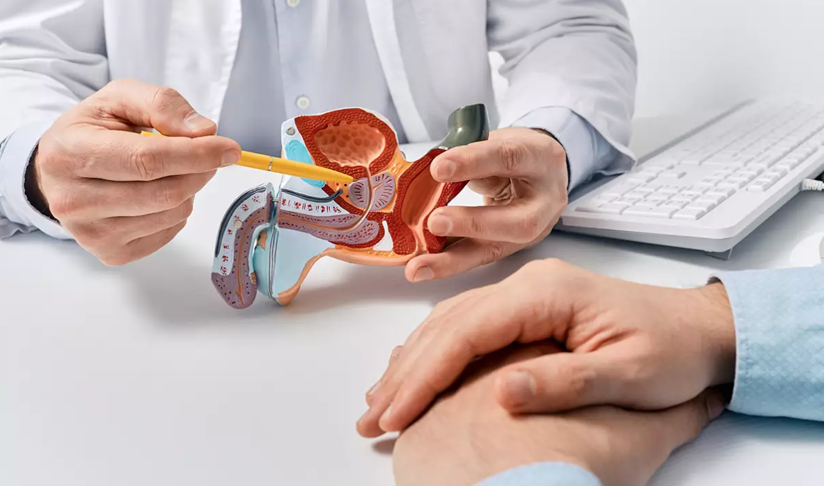 Cancer de penis reprodução.3.