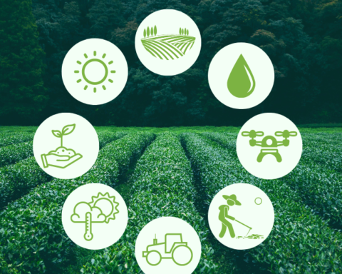 Tree intelligence quem são os influenciadores no agronegócio