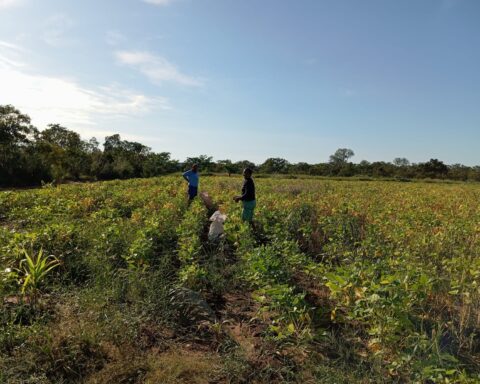 Bfe68aaa 4289 4236 b799 eb32fd8e8e3f