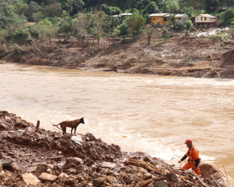 02. Às margens do rio das antas, em bento gonçalves rs, a cadela sky e o subtenente raphael mollo realizam buscas por vítima