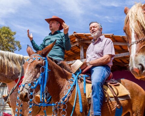 97515450 0ce6 45ba a224 e09061311b3c