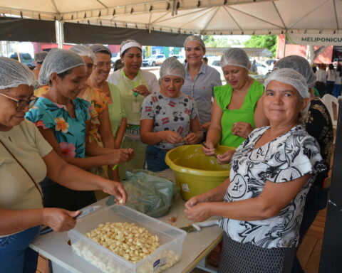 Mulheres engajadas no aprimoramento culinário durante oficina na feira da colheita delfino miranda