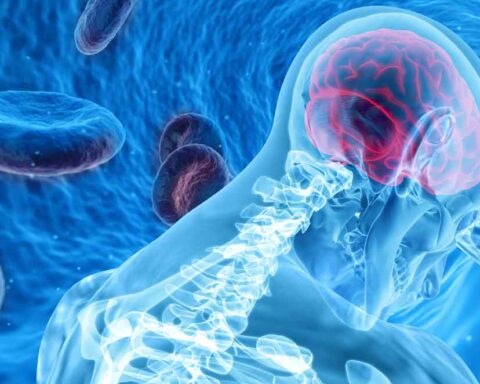 Avc reprodução internet 1 (1)