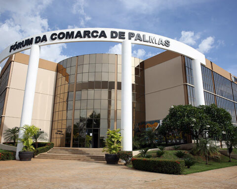 Forumdepalmas 14 8 20