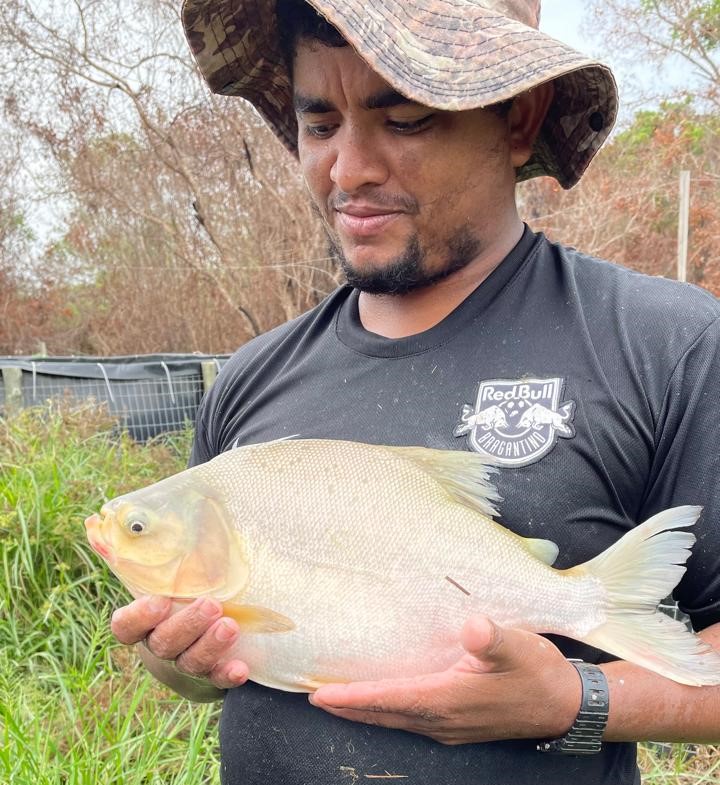 Comunidade indigena krahô celebra a produção de peixes