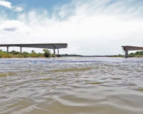 Imagem do whatsapp de 2025 02 11 à(s) 19.39.48 7bbf957b