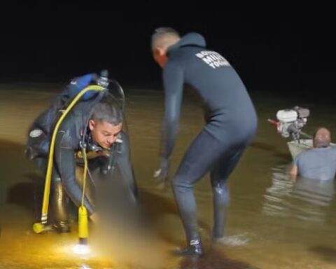 Imagem do whatsapp de 2025 02 24 à(s) 15.57.56 236a7c35