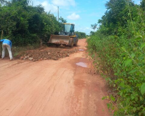 Img 20250315 wa2382.jpg