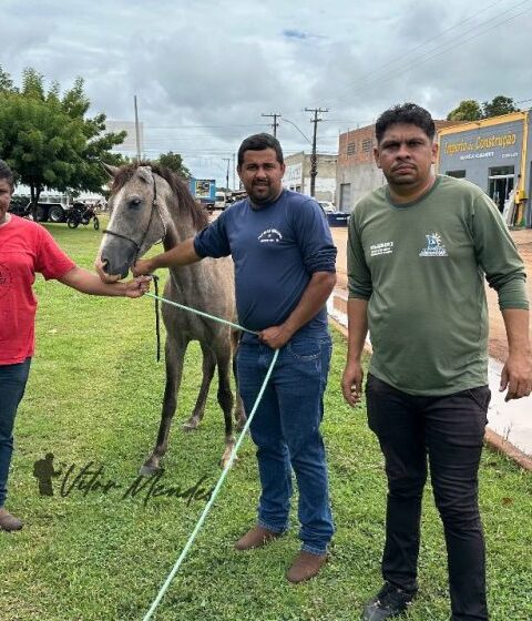 Imagem do whatsapp de 2025 03 17 as 11.31.21 3b87da9c 850x560