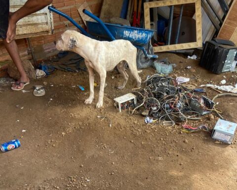 Whatsapp image 2025 04 22 at 17.37.42