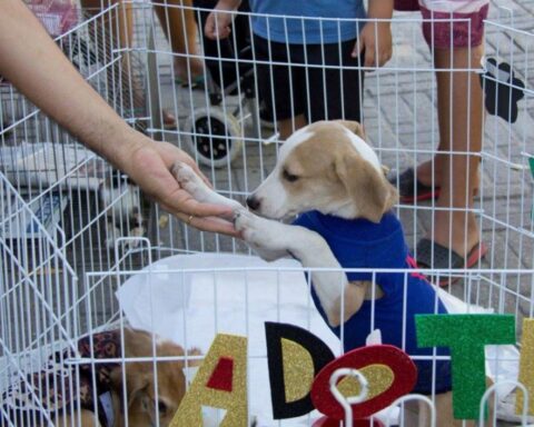 Fb14b6ace8eedcbcf4bd5b4436823a38