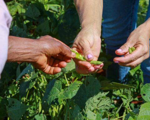 57a05baa 0329 47ac b29c c5fa7d1aa9cf.jpeg