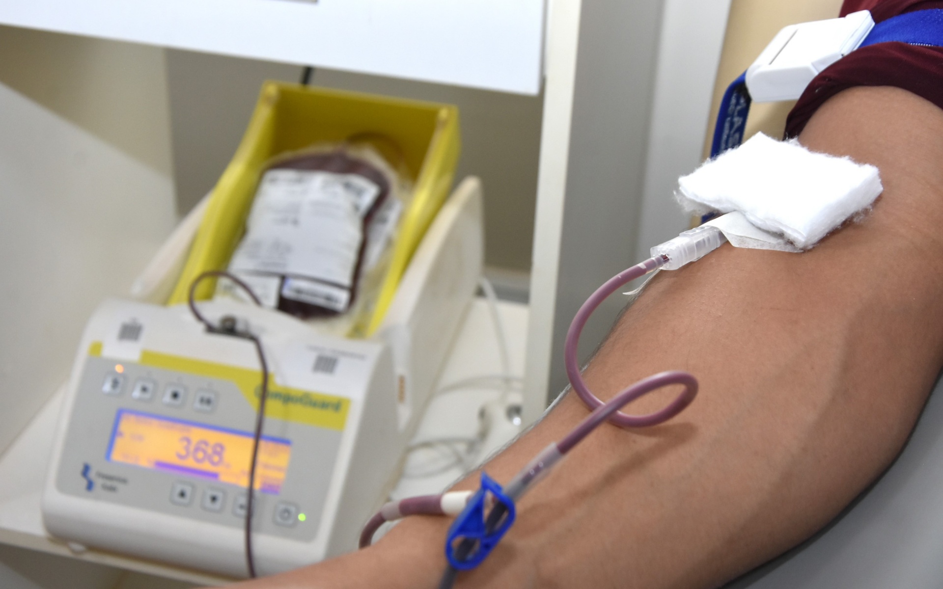 Doacao de sangue foto mariana ferreira govtocantins.jpg