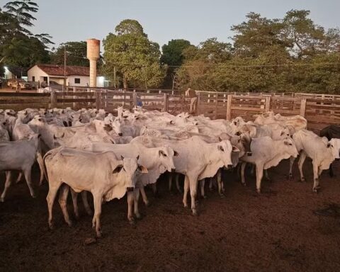 Img 20250620 wa0015.jpg