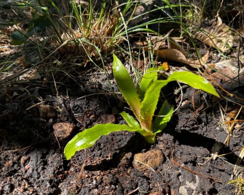 E03ca9db 8540 43ac 85e7 40cbda8a965bjpg.jpg