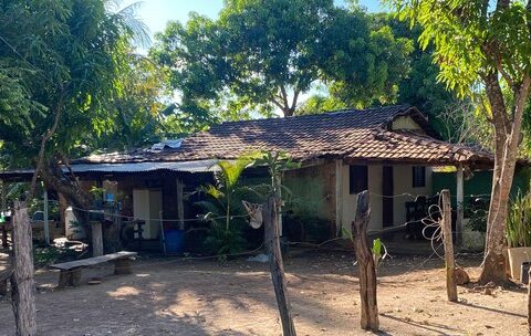 Whatsapp image 2025 06 18 at 18.01.11.jpeg