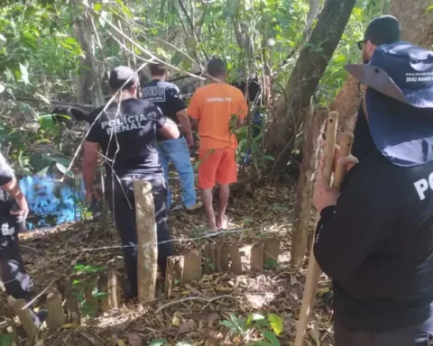 Whatsapp image 2025 07 09 at 15.39.42 1 940x560.webp