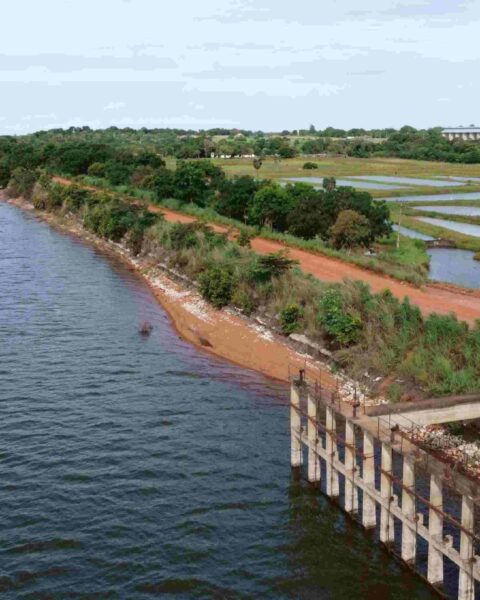 Rio formoso