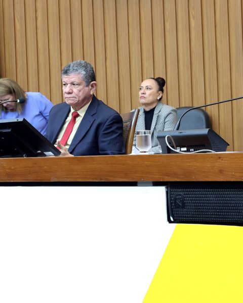 Sessao plenaria foto koro rocha.jpeg