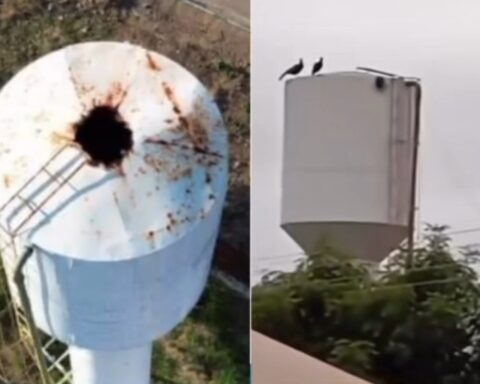 Image editor output image 6776493 1756338101965.jpg