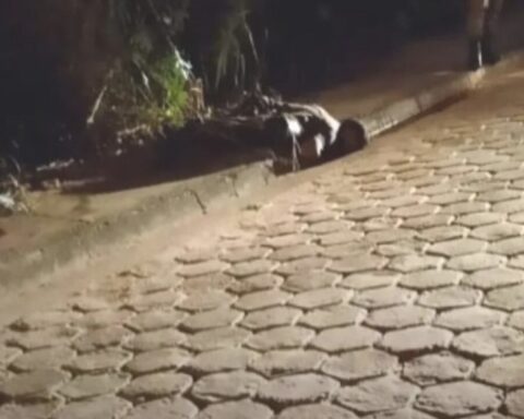 Image editor output image 849338886 1755026897731.jpg