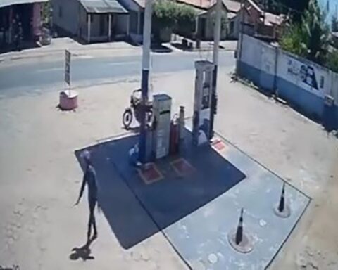 Image editor output image186755299 1756213894110.jpg