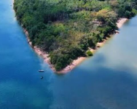 Image editor output image2085762139 1755385988545.jpg