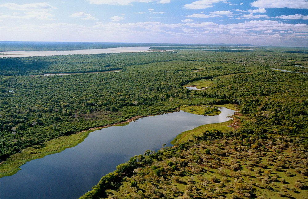 Ilha do bananal.jpg