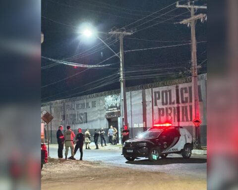 Foto e montagem vertical 23 .jpeg