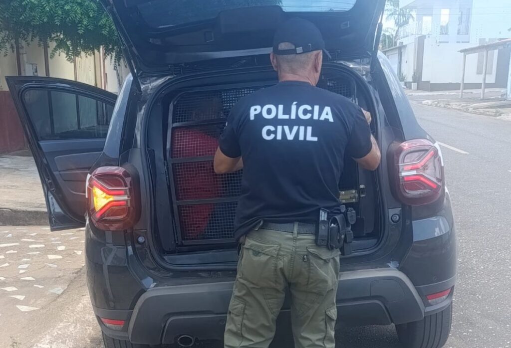 Prisao ocorreu apos investigacoes da 14a dpjpeg