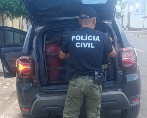 Prisao ocorreu apos investigacoes da 14a dpjpeg