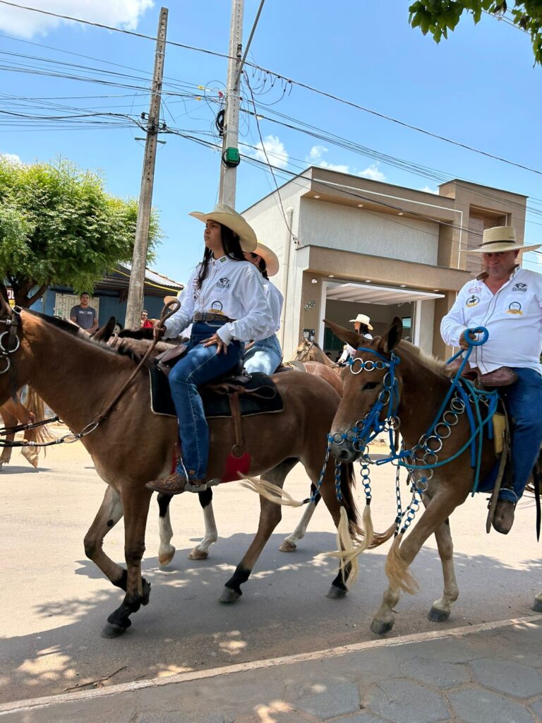 Whatsapp image 2025 10 05 at 22.33.44 (1)