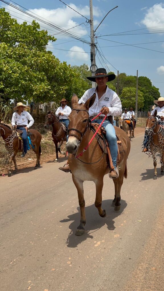 Whatsapp image 2025 10 05 at 22.33.45 (3)