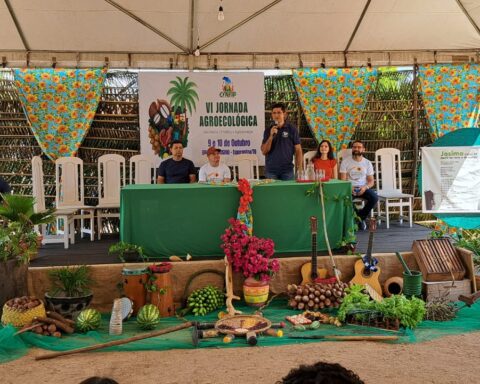 Whatsapp image 2025 10 12 at 20.42.55 (1)