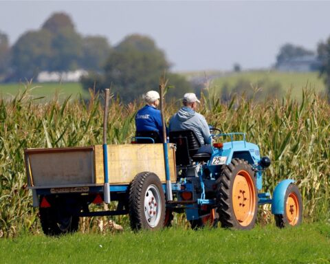 Tractor 6608040 1280.jpg