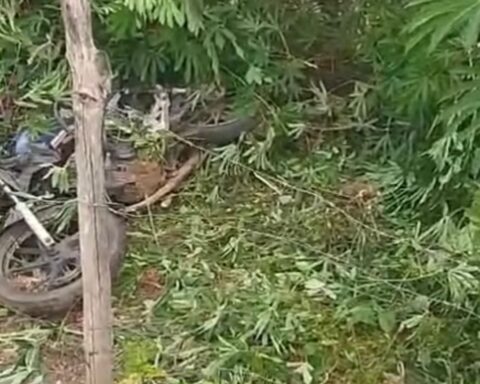 Whatsapp image 2026 01 02 at 15.58.18 (1)