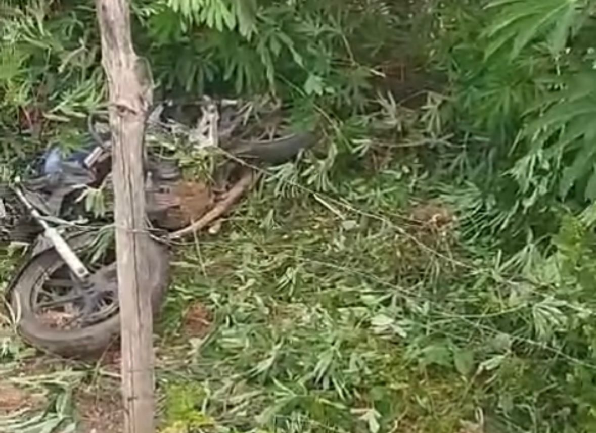 Whatsapp image 2026 01 02 at 15.58.18 (1)