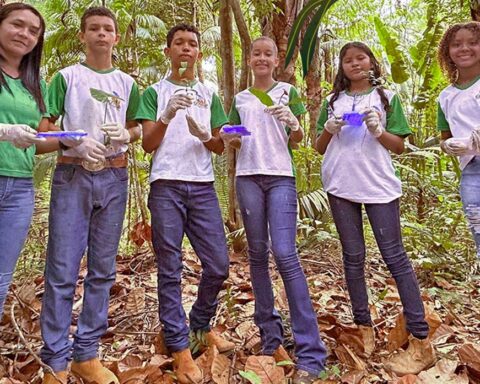 Whatsapp image 2026 01 14 at 15.00.43 (1)