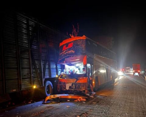 Whatsapp image 2026 01 16 at 15.33.37