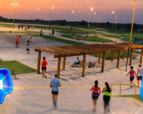 Whatsapp image 2026 02 19 at 13.46.53 copiar